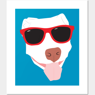 White Dog in Sunglasses Posters and Art